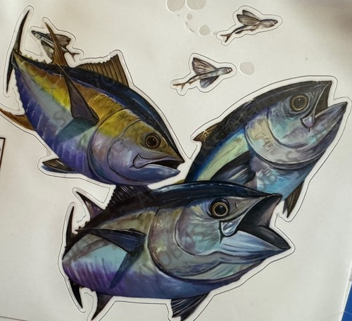 Giant bluefin tuna decal man - giant,