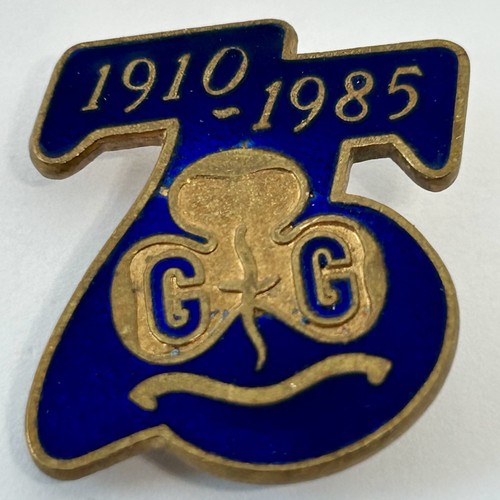 Girl guides 75th anniversary - girl,