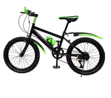 20 Inch Mountain Bike 7 Speed