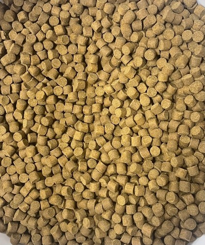 Premium sturgeon food 6mm - sturgeon,