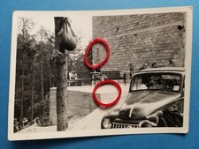 Photograph - Cars, Cars, Cars