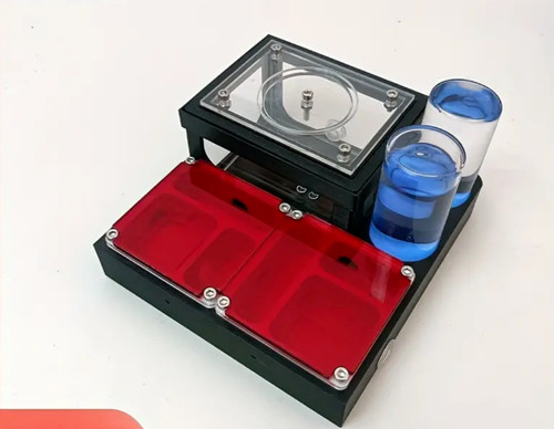 Ant farm formicarium - ant,