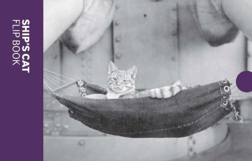 Ships cat flip book - ships,
