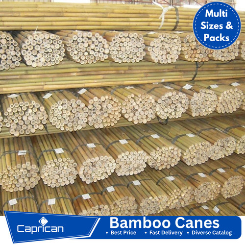 Thick bamboo canes - bamboo,