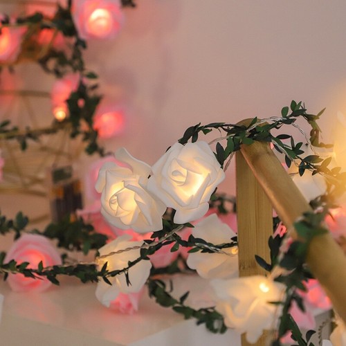 Pink white led rose - rose, flower