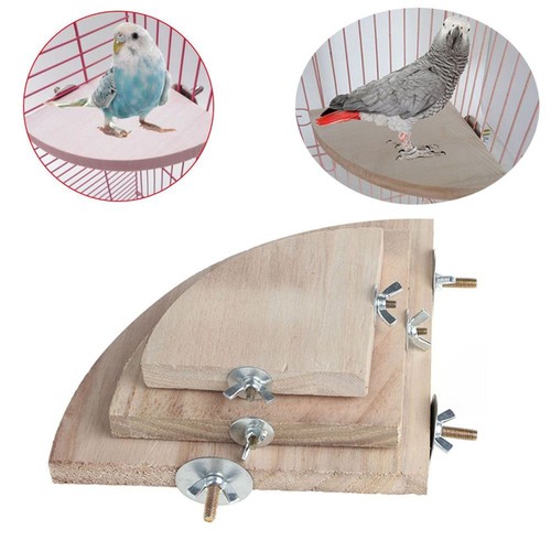 Wooden parrot bird pet - bird,