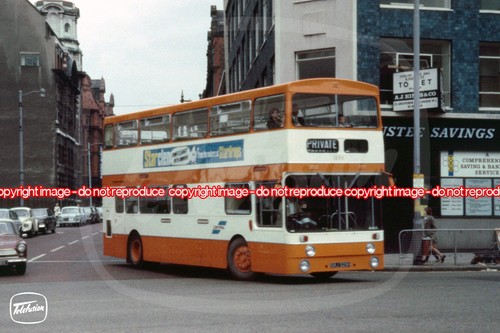 Bus photo selnec - bus,