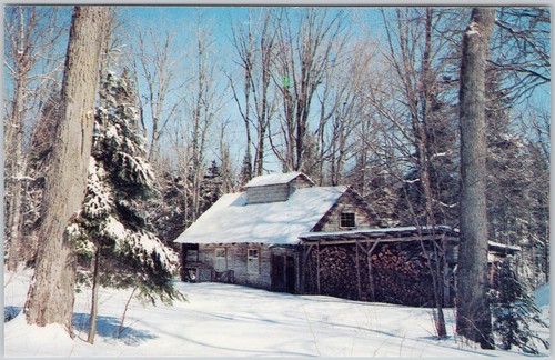 Vintage quebec cabane - à, sucre