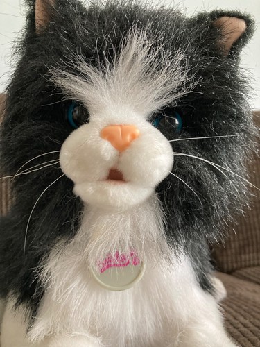 Animagic smudge the kitten - smudge,