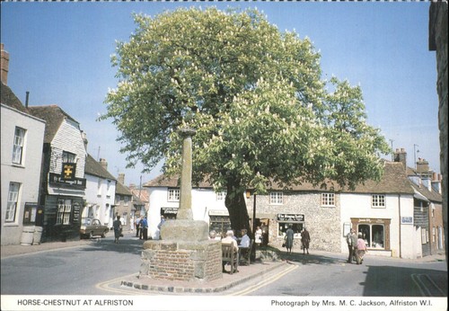 Vintage alfriston - vintage,