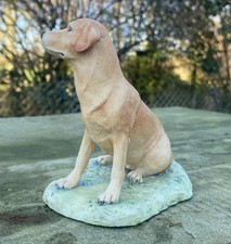 Border Fine Arts Yellow