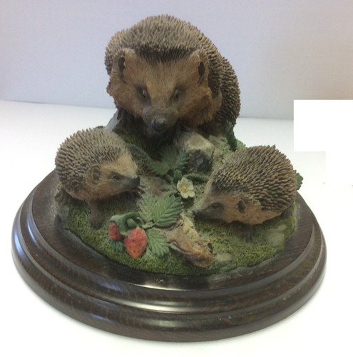 Country artists hedgehog - artists,