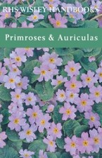 Primroses and Auriculas -