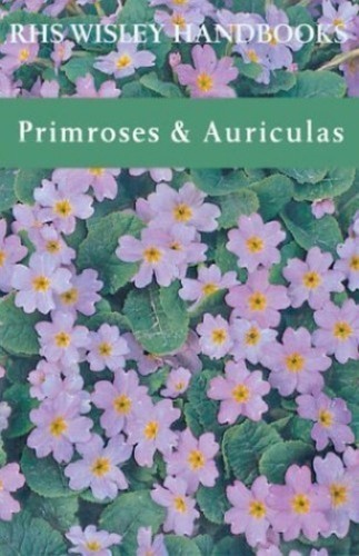 Primroses and auriculas - and,