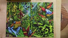 Frog Frenzy by Lori Shori