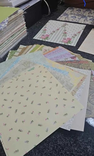 Anna griffin x12 - griffin, 12'x12'