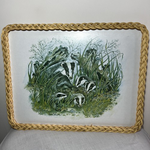 Vintage wicker edge tray - vintage,