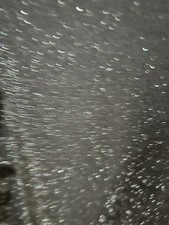 F&F Size 6 Woman’s  Glittery