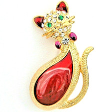 Cat Kitten Animal Fantastic