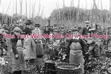KE 1013 - Hop Picking Group