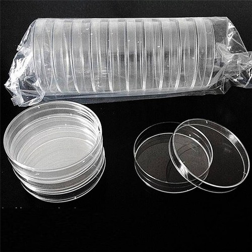 90mm laboratory jar petri dish - laboratory,