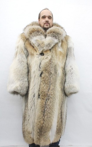 Brand new natural coyote - brand,