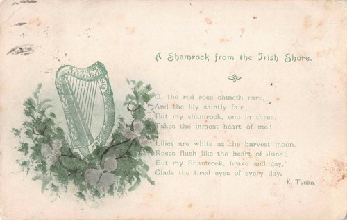 Postcard ireland a shamock - -,