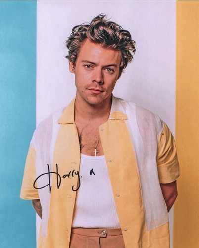 Harry styles original 10x8 - harry,