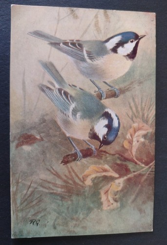 Bird postcard coal - postcard,,