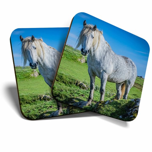 Coasters highland pony - 2,