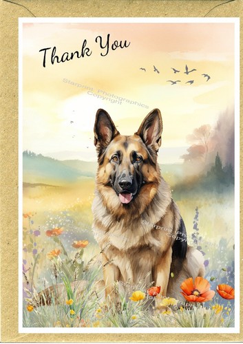 German shepherd dog alsatian - german,