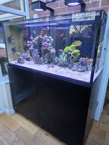 Red sea reefer xl 425 - sea,