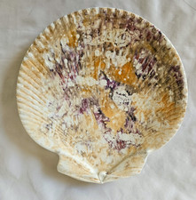 ANTIQUE WEDGWOOD MOONLIGHT