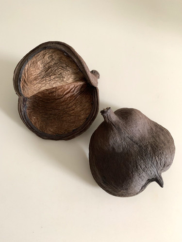 Tropical java tree - java, shell