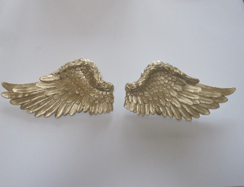 One pair chic angel - one, wings