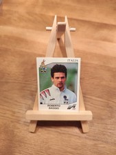 Panini European Football