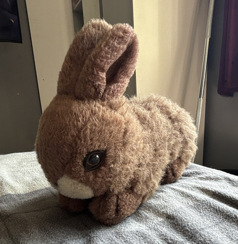 Vintage realistic brown rabbit - vintage,