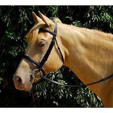 Windsor STS Economy Leather