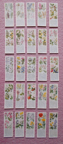 Cigarette cards wild flowers - cards,