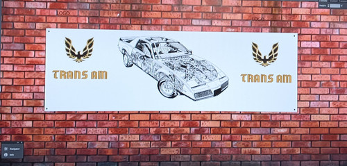 Pontiac firebird trans pvc - pontiac, am