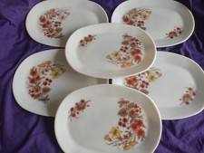 Vintage Pyrex ‘Harvest Spray’ Set of 6 Oval Steak Dinner Plates