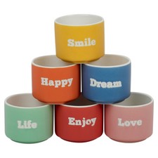 6 Pc Multi Colours Mini