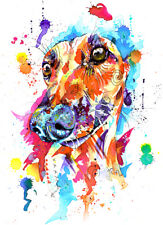 Greyhound Whippet Lurcher art
