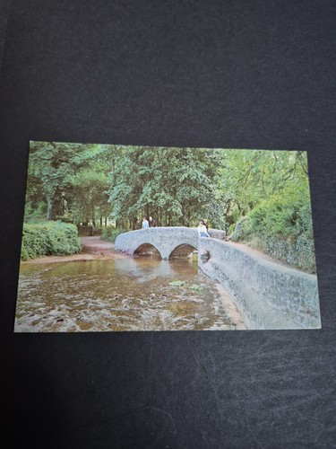 Vintage postcard packhorse - vintage,