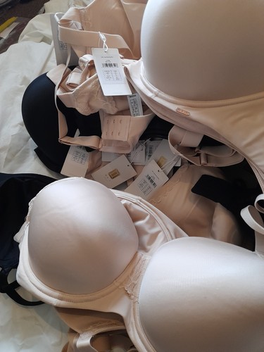 50x bra wholesale sizes 32 - bra,