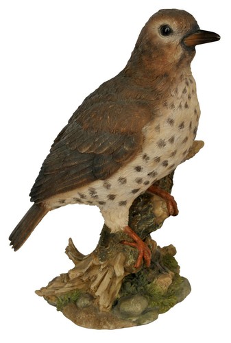 British birds real life - real, thrush