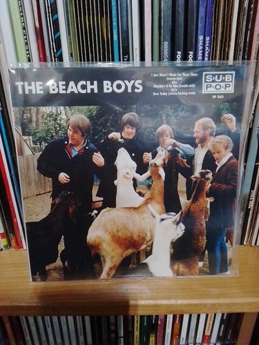 The beach boys pet - the,