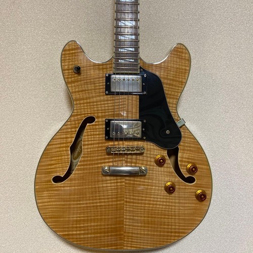 Washburn semi hollow - washburn, hb-35