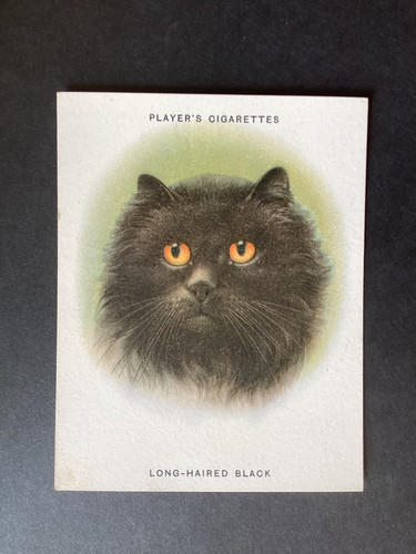 Player cigarettes cats - cigarettes,
