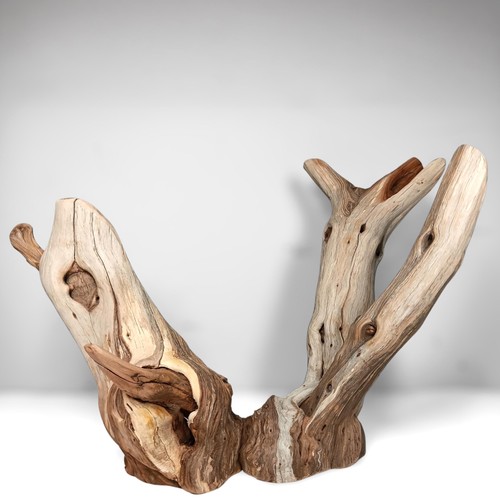 Manzanita driftwood - manzanita,